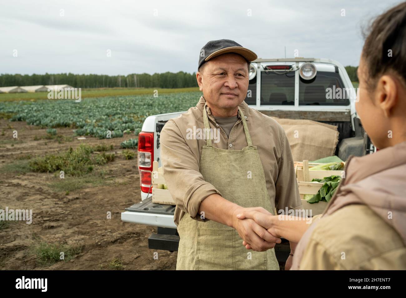 Inhalt reifer asiatischer Bauer in Kappe und Schürze schüttelt die Hand der Frau gegen Pickup-Truck auf der Plantage Stockfoto