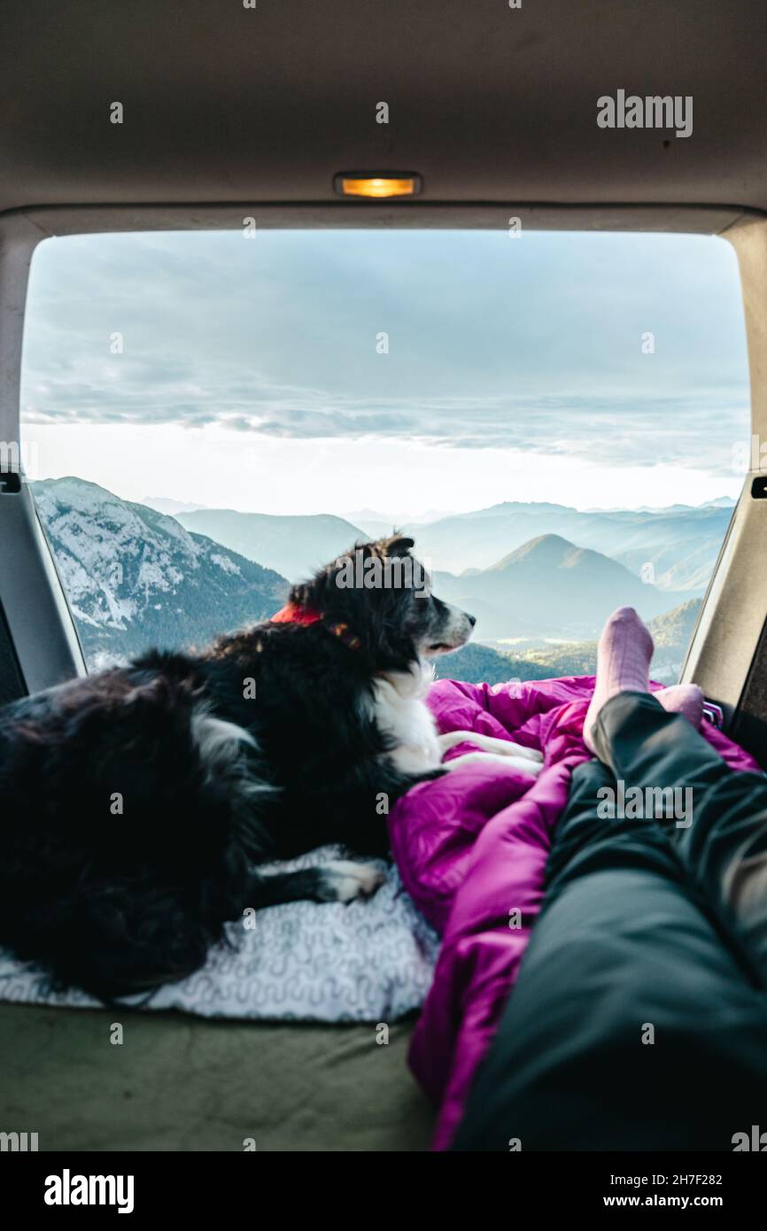 Blick vom Kofferraum eines Autos auf die wunderschöne österreichische Landschaft mit dem schwarz-weißen Border Collie und Mädchenbeinen Stockfoto