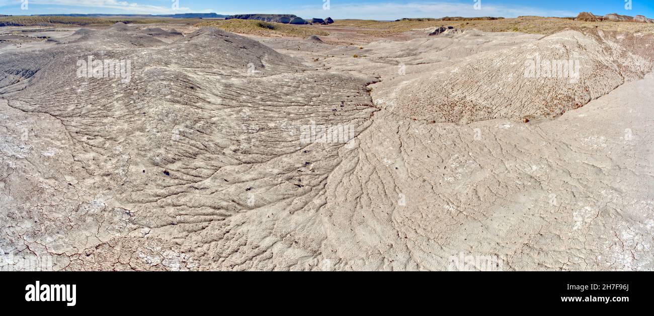 Eine Aue aus salzigem Bentonitton zwischen den Tepees und den Little Tepees im Petrified Forest National Park Arizona. Stockfoto