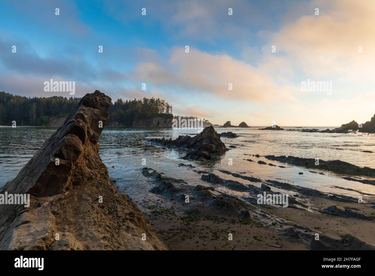 Blick auf die Küste und die Klippen am Sunset Beach im Pazifischen Nordwesten Stockfoto