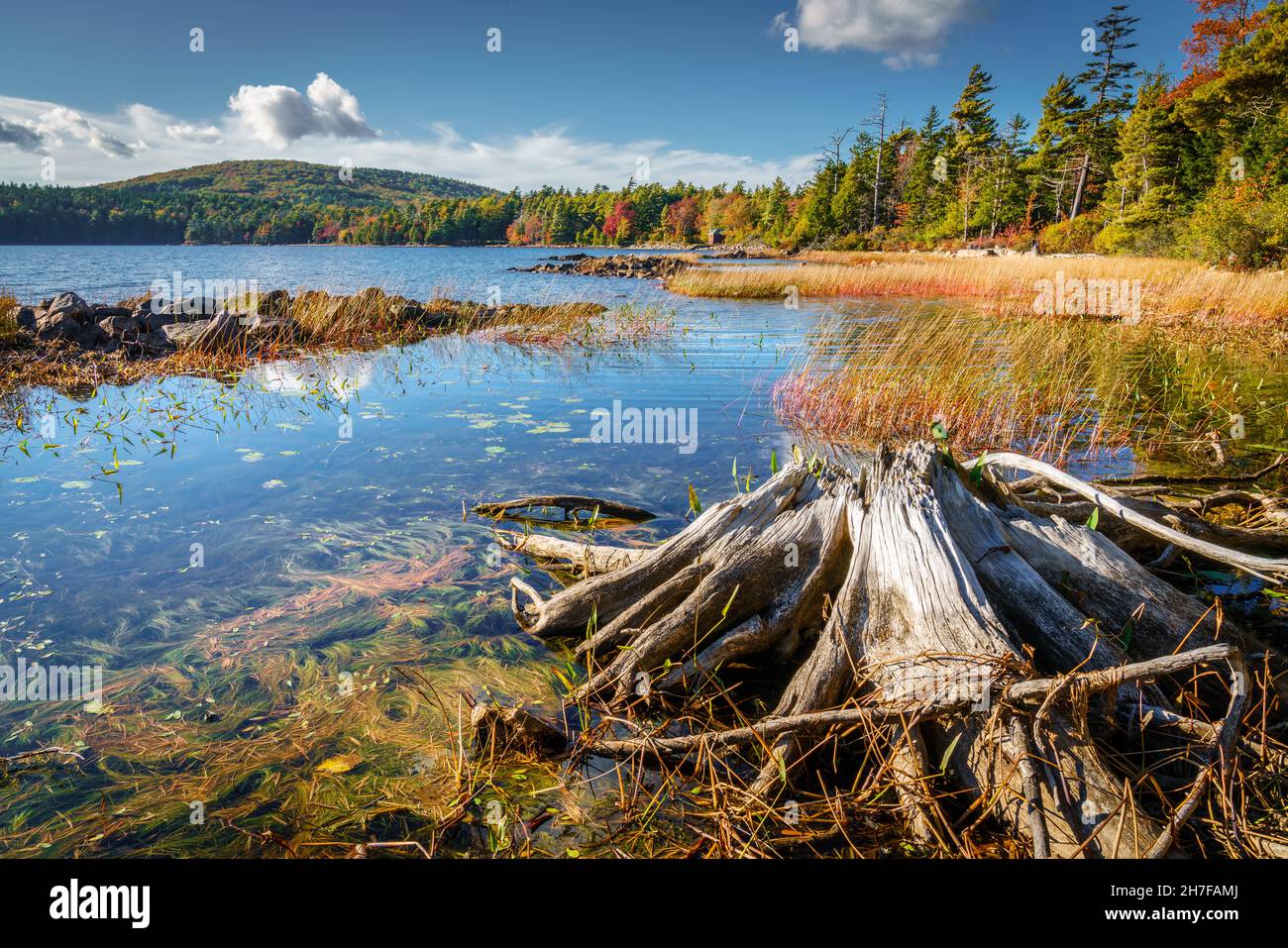 Schöner Blick auf den Eagle Lake im Acadia National Park im Herbst Stockfoto