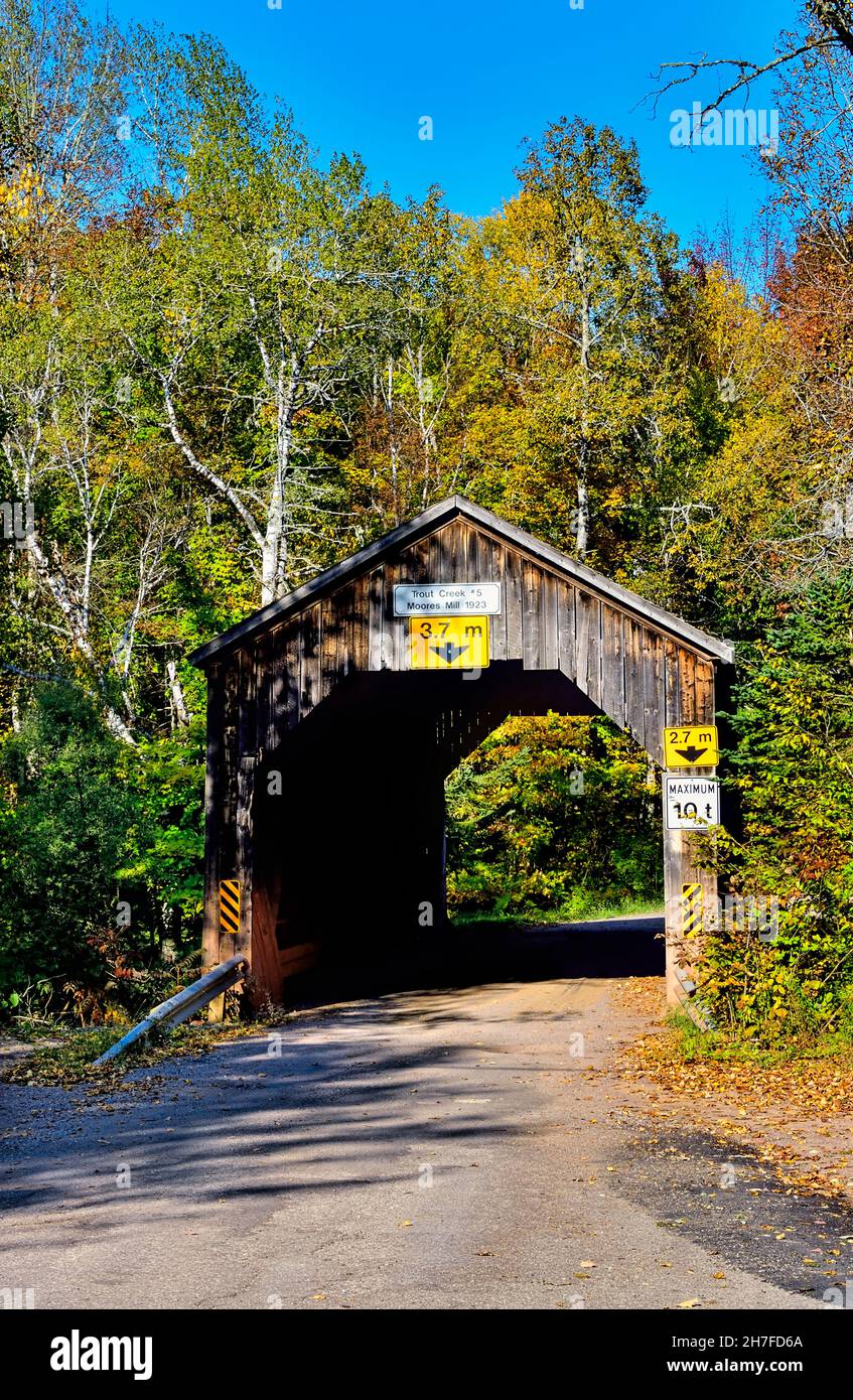 Eine vertikale Herbstaufnahme der überdachten Brücke von Trout Creek #5 auf einer Landstraße in der Nähe von Waterford New Brunswick Canada. Stockfoto