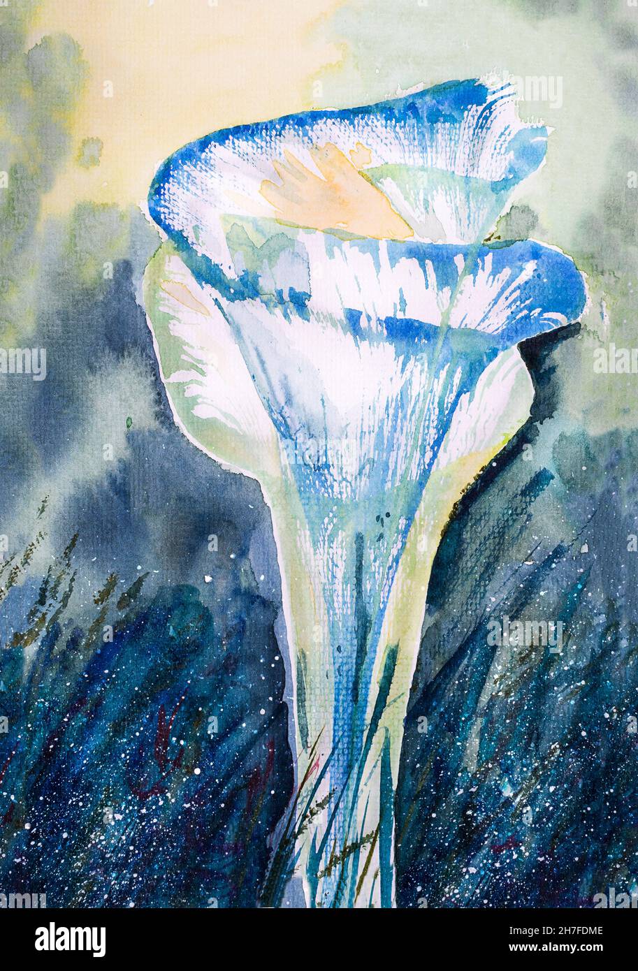 Illustration des abstrakten Aquarells der blauen Calla-Blume Stockfoto