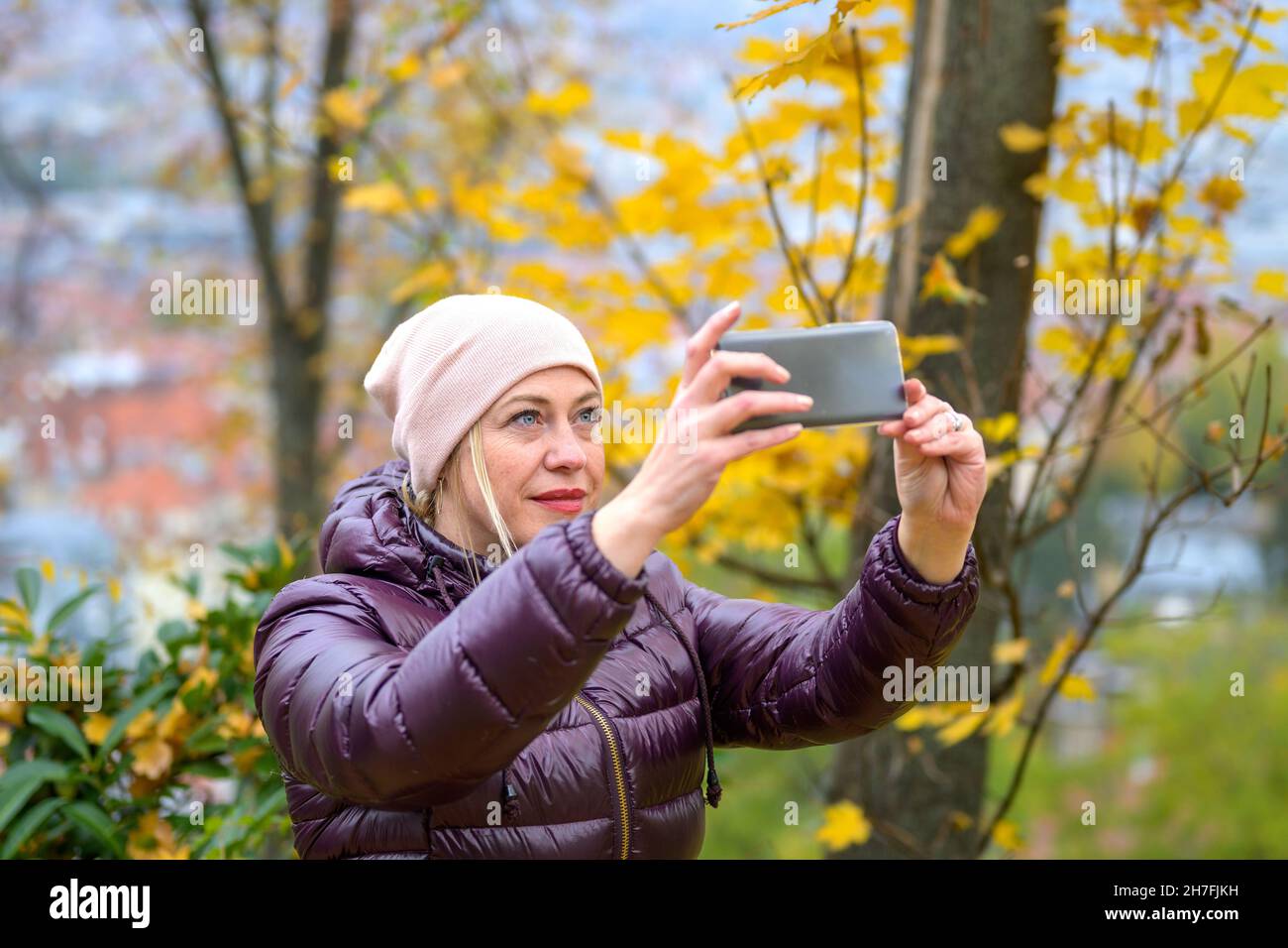 Frau mittleren Alters in einer warmen violetten Jacke und einem rosa Hut, die in der Herbstsaison ein Foto der wunderschönen Natur in einem Park macht und ihr Mobiltelefon in beiden Händen hält Stockfoto