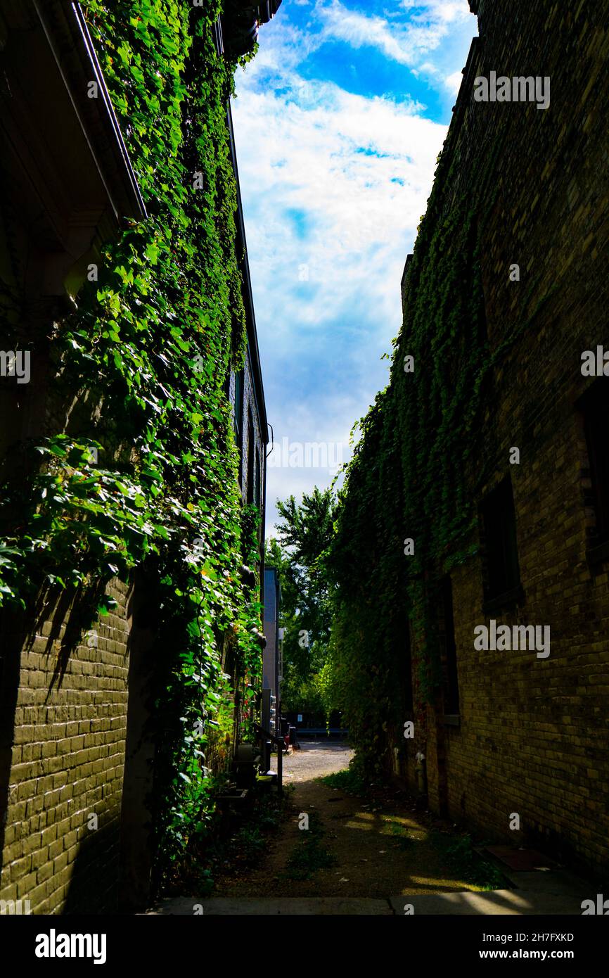 Lebhafte Gasse Stockfoto