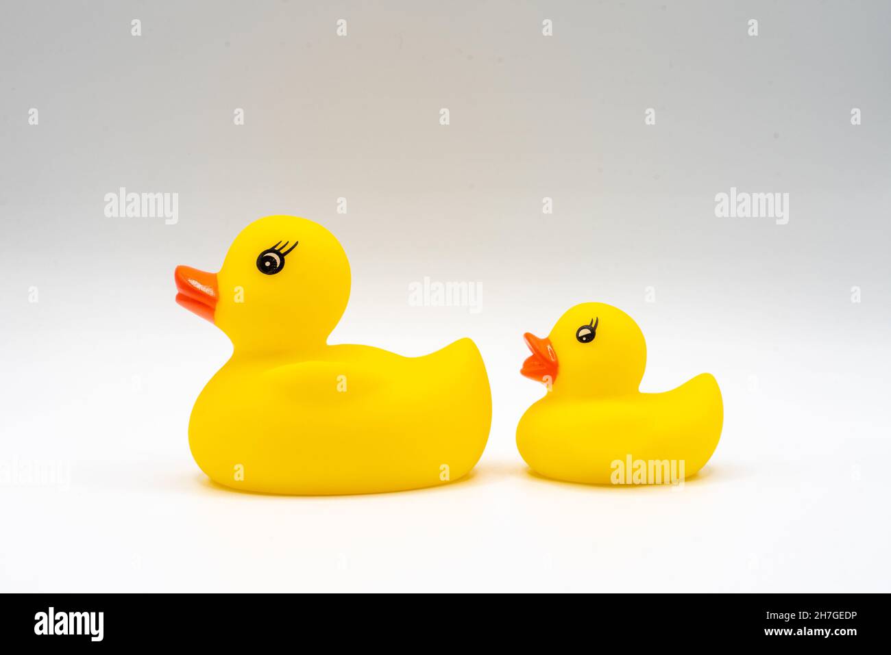 Große Plastik Ente Enten 14 x 13 cm gelb oder blau  NEU OVP 