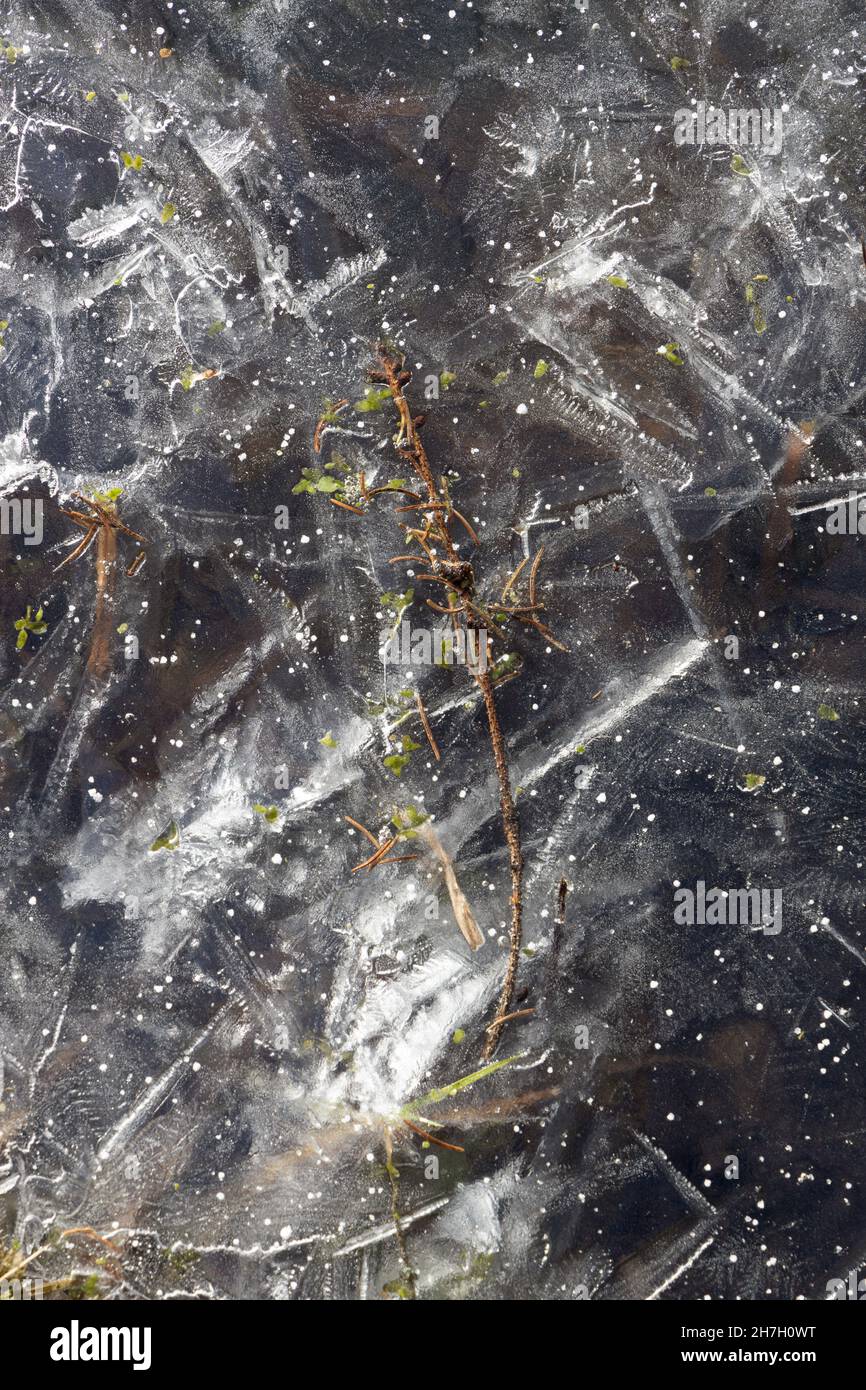 Gemusterte weiße eisige Oberfläche des Flusses mit Flecken von Vegetation und Linien und Eiskörnern Stockfoto