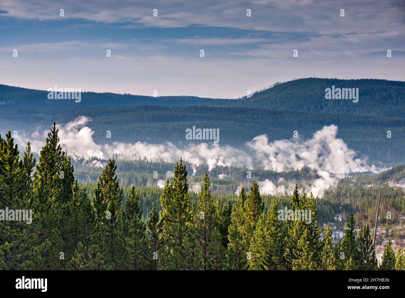 Norris Geyser Basin, Yellowstone-Nationalpark, Wyoming, USA Stockfoto