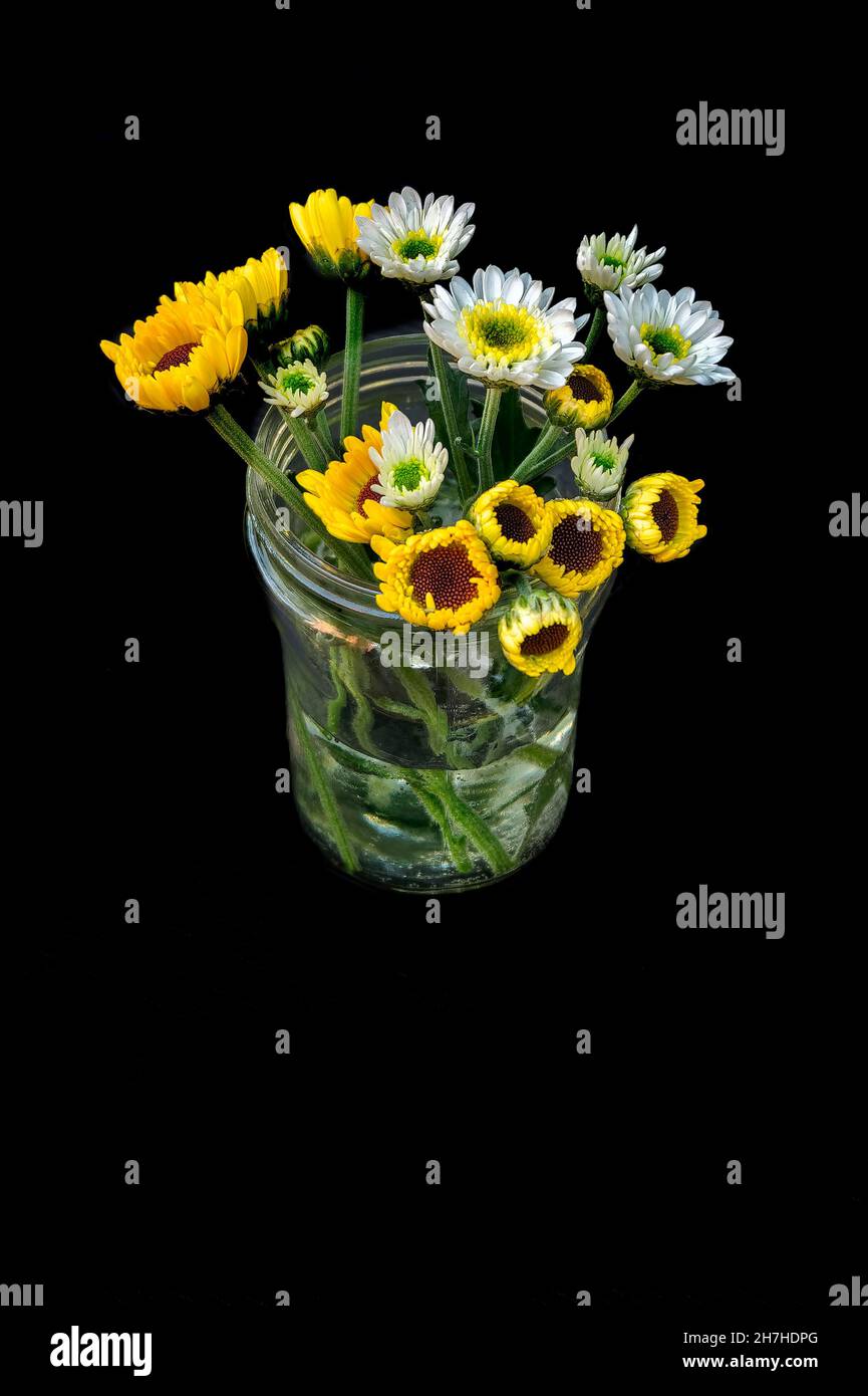 Blumen in Vase auf schwarzem Hintergrund, Stockfoto