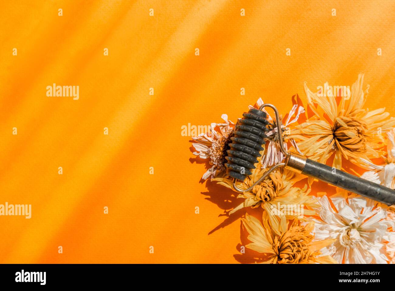 Ein Gesichtsmassager aus grüner Jade liegt zwischen trockenen Blumen auf einem gelben Hintergrund. Stockfoto