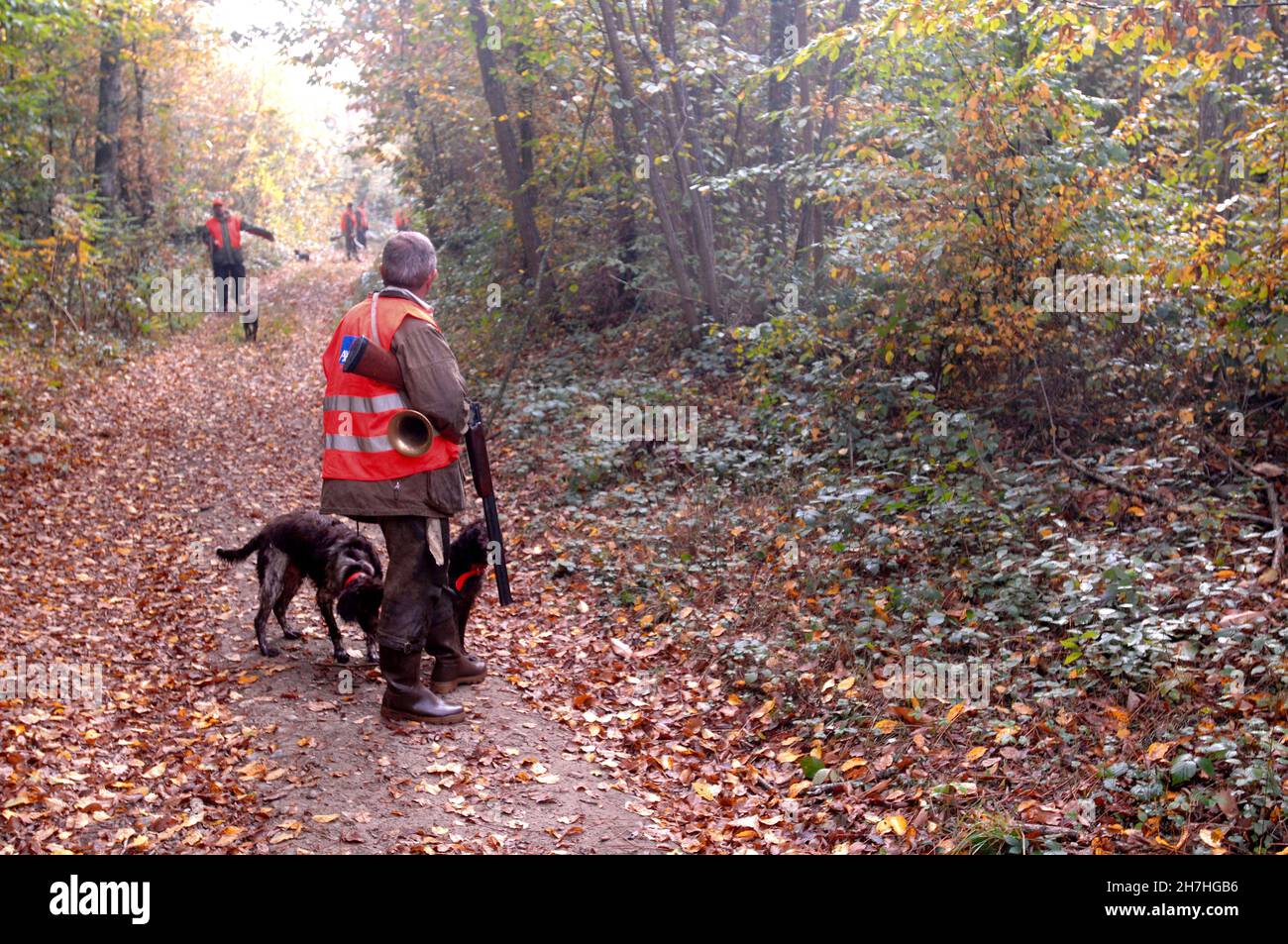 FRANKREICH. JÄGER IN LIGNE, BEVOR SIE EINEN WALD ZUR JAGD BETRETEN. Stockfoto