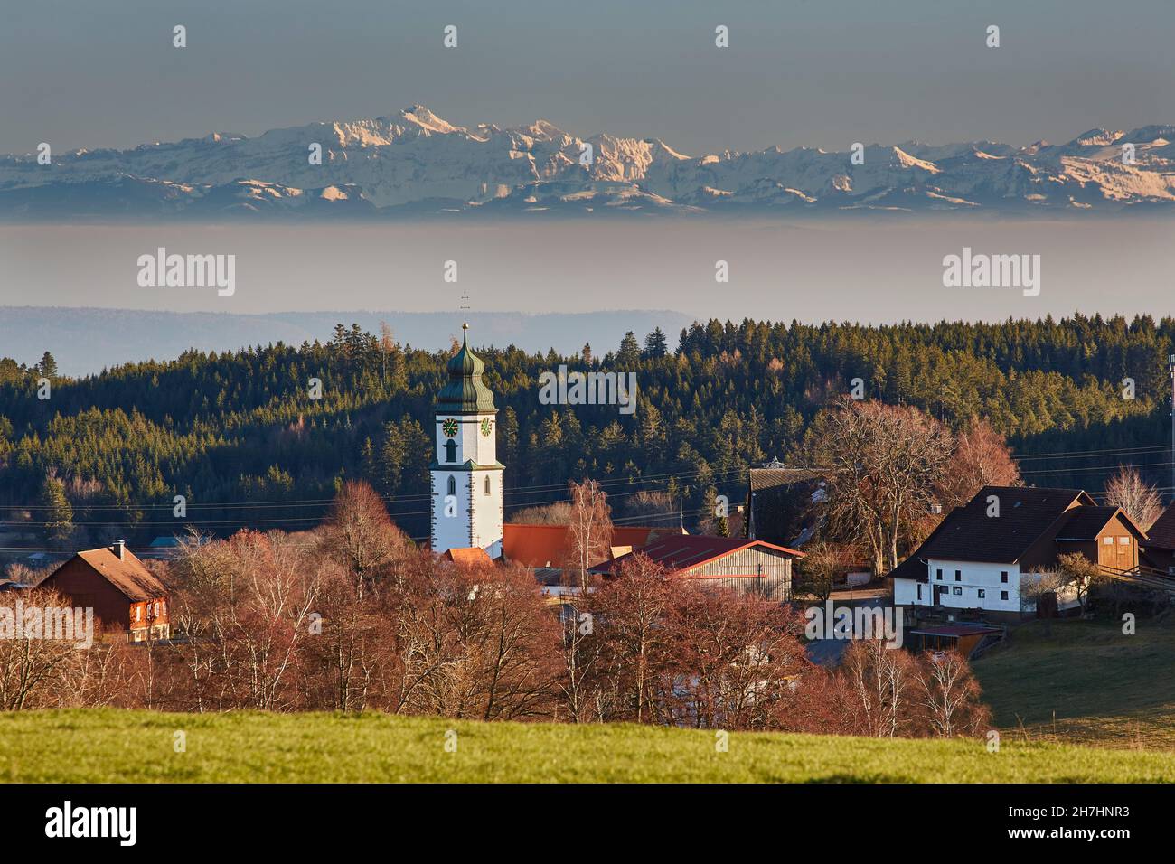 Blick auf Grafenhausen und die Schweizer Alpen, Südschwarzwald, Schwarzwald, Baden-Württemberg, Deutschland, Europa Stockfoto