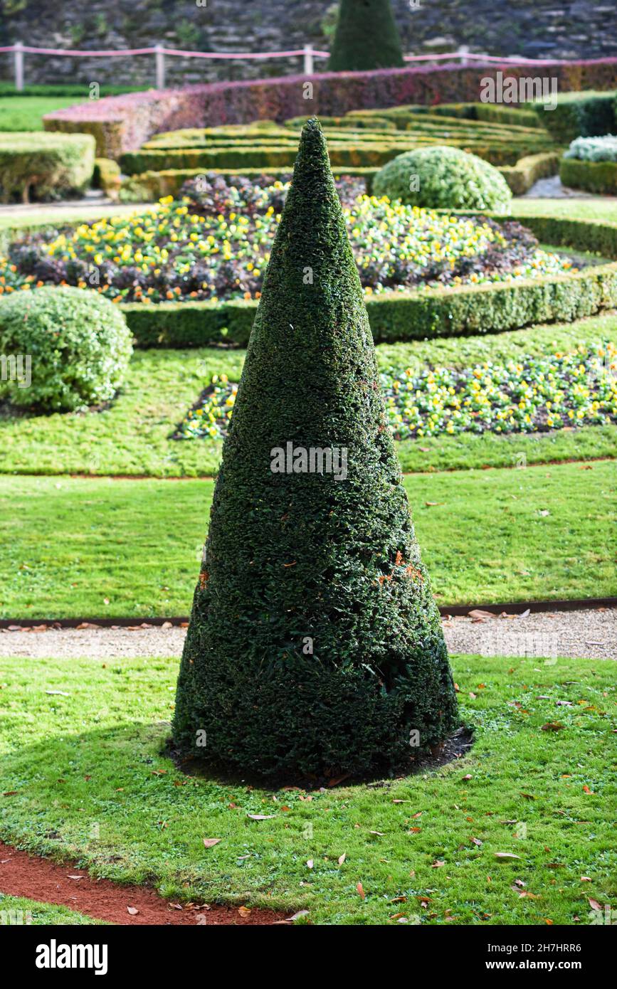 Schöner, gepflegter Garten im Stil französischer königlicher Gärten. Stockfoto