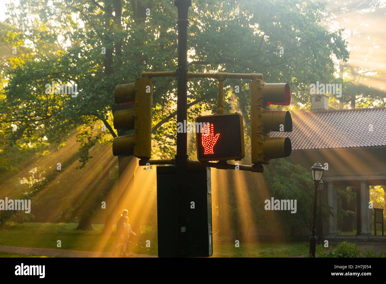 Sonnenlicht, das durch die Bäume strömt und auf einem Kreuzlicht im Prospect Park Brooklyn NYC leuchtet Stockfoto