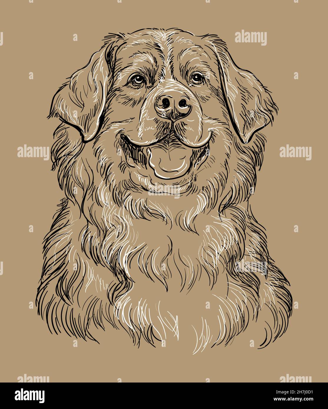 Realistischer Kopf des berner Berghundes Vektor Handzeichnung Illustration isoliert auf braunem Hintergrund. Für Dekoration, Malbücher, Design, pri Stock Vektor