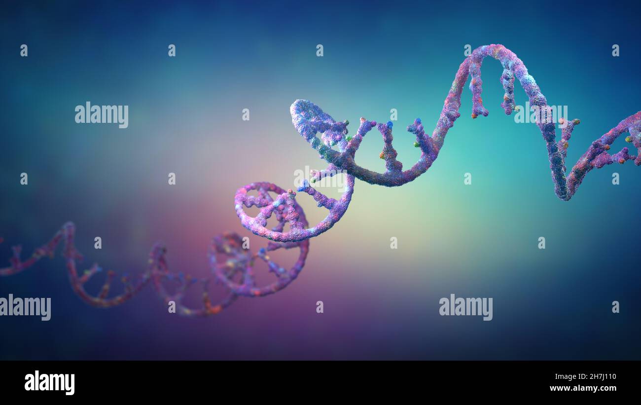 Ribonukleinsäure-Stränge, die aus Nukleotiden bestehen, die für die Proteinbiosynthese wichtig sind - 3D Abbildung Stockfoto