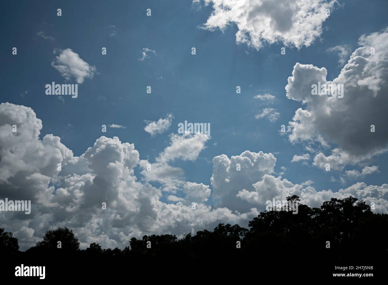 Wunderschöne Wolkenformationen am Nachmittag über der Stadt Alachua im Norden Floridas. Stockfoto