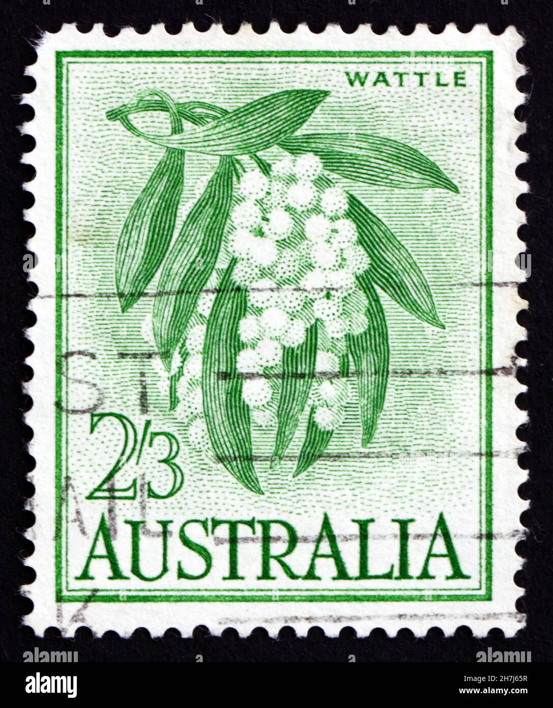 AUSTRALIEN - UM 1959: Eine in Australien gedruckte Marke zeigt Golden Wattle, Acacia Pycnantha, Tree, um 1959 Stockfoto
