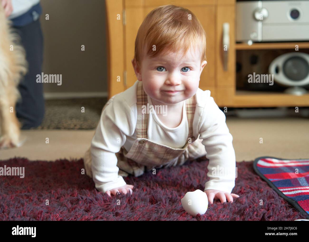 Ein neun Monate altes, rothaarig gebräuntes Baby kriecht auf den Fotografen zu Stockfoto