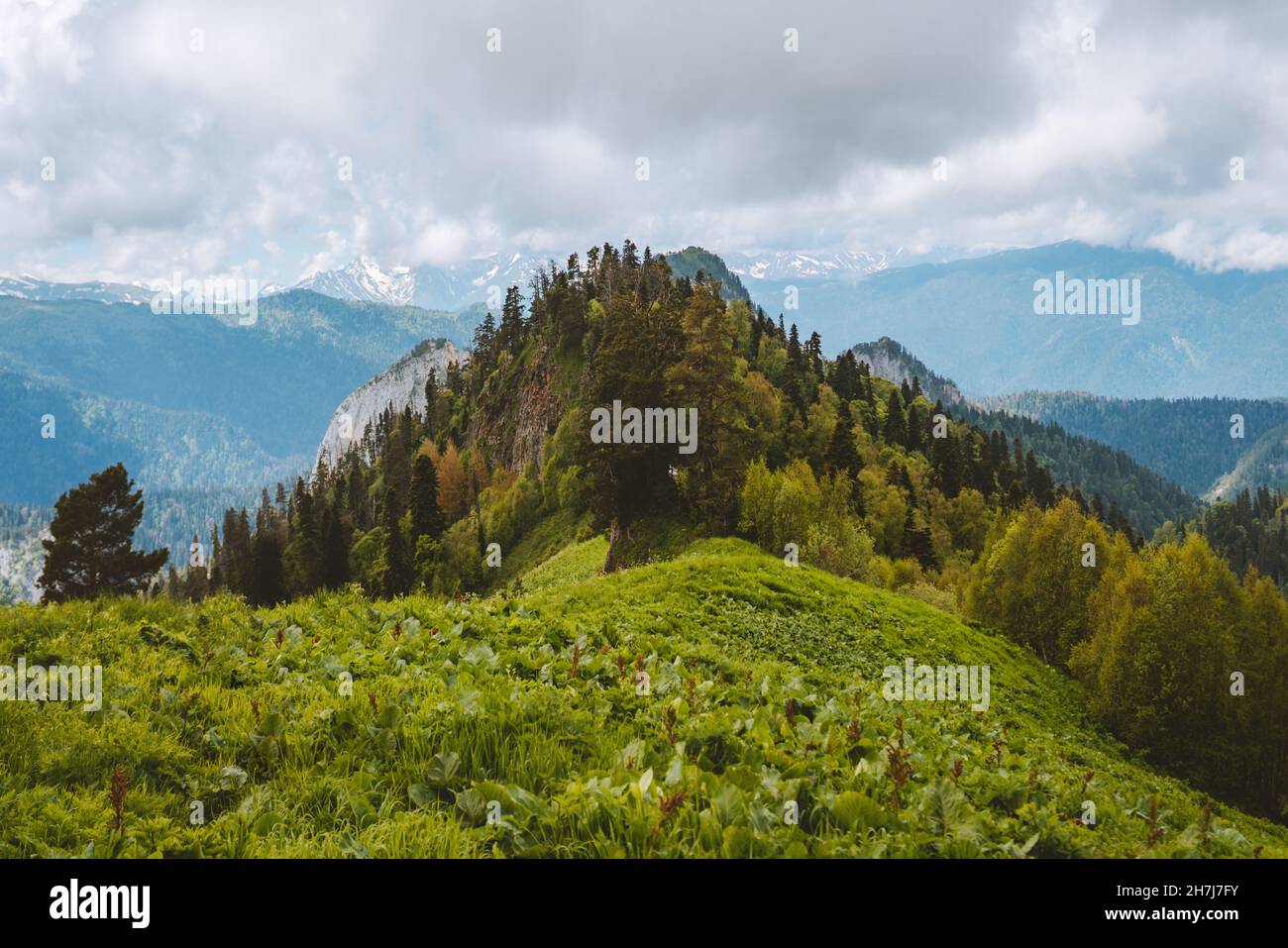 Berge und Waldlandschaft Kaukasus Berge Natur in Russland Reise Wildnis Sommersaison Stockfoto