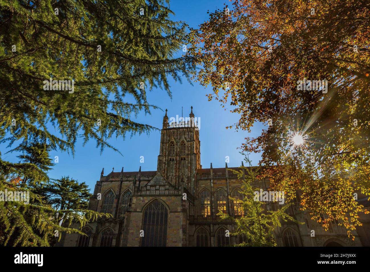 Die Sonne scheint durch Herbstbäume in Malvern Priory, Great Malvern, Worcestershire, England Stockfoto