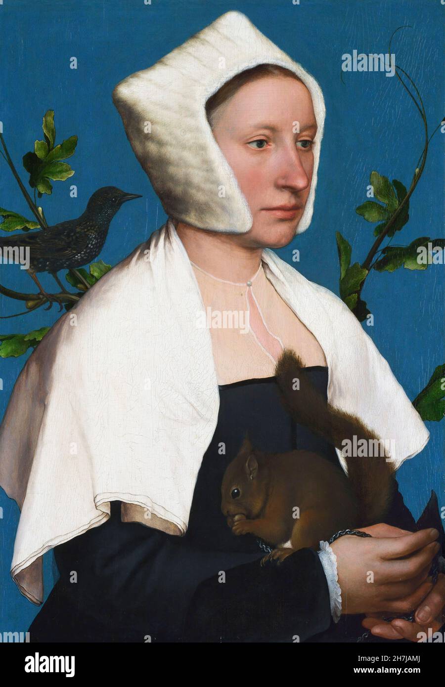 Eine Dame mit Eichhörnchen und einem Star (Anne Lovell?) Von Hans Holbein dem Jüngeren (1497/8-1543), Öl auf Eichenholzplatte, c. 1526-8 Stockfoto