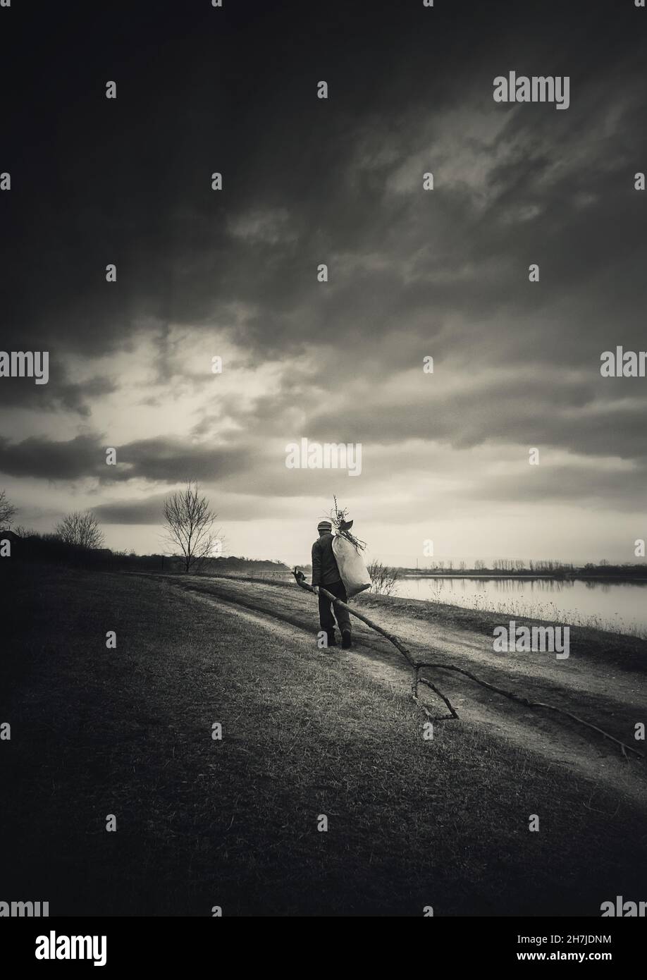 Einsamer Nomadenmensch, der Brennholz zum Heizen trägt und auf einer Landstraße unterwegs ist. Moody und dramatische Szene, schwarz-weißer vertikaler Hintergrund Stockfoto