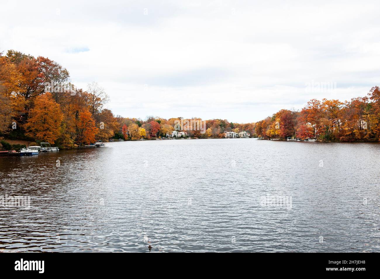 Herbstfarben am Lake Anne in Reston Stockfoto