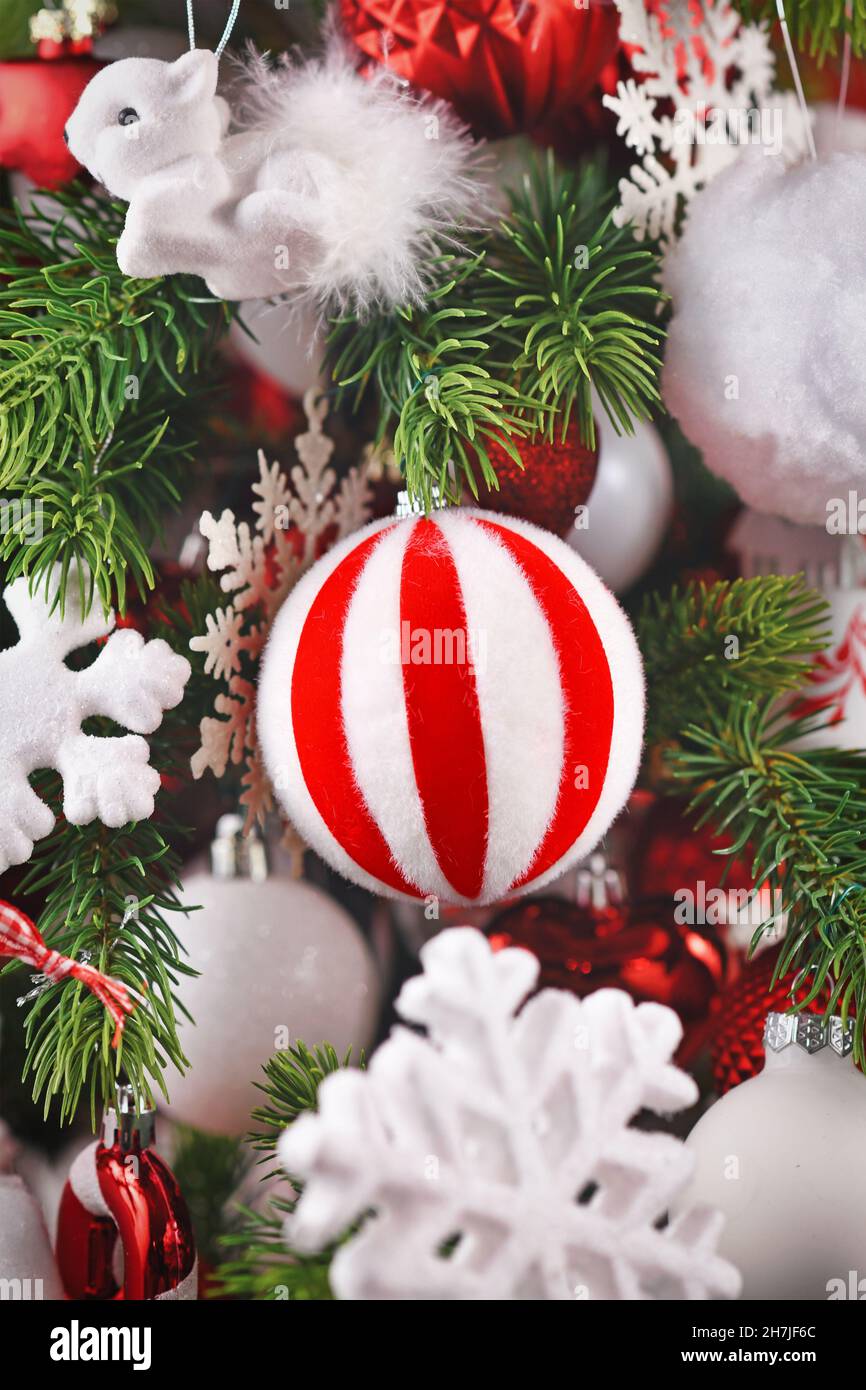 Gestreifte rot-weiße Weihnachtskugel auf geschmücktem Baum Stockfoto