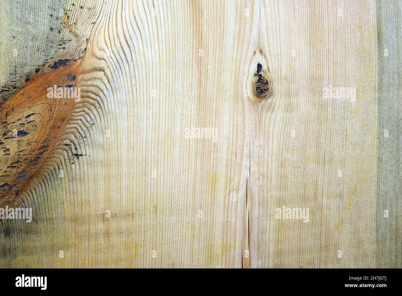 Holzplanke Nahaufnahme Textur. Plank mit Zweigen Hintergrund. Unbehandeltes Holz, Küchenschneidebrett. Stockfoto
