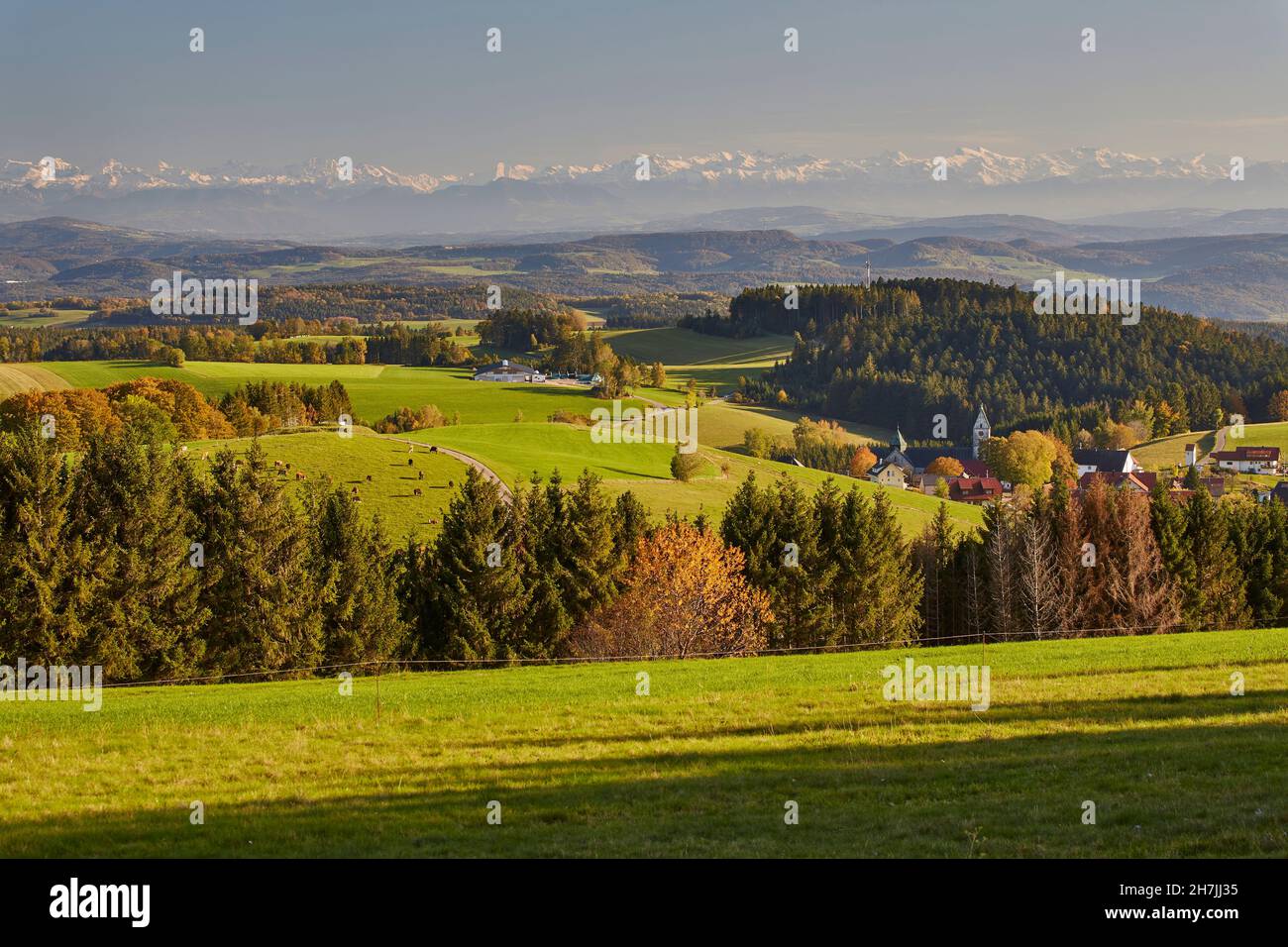 Blick von Dachsberg - Finsterlingen über Dachsberg - Hierbach zu den Schweizer Alpen, Hotzenwald, Südschwarzwald, Schwarzwald, Baden-Württemberg, Stockfoto