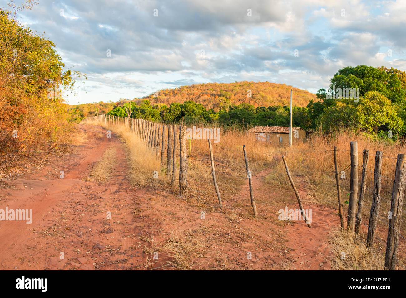 Haus auf dem Land, Caatinga Landschaft im Herbst (Beginn der Trockenzeit) - Oeiras, Piaui Staat, Brasilien Stockfoto