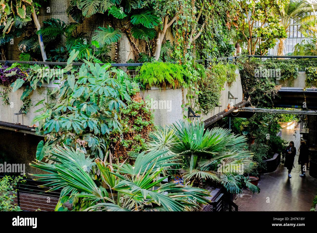 Das Barbican Conservatory, das zweitgrößte Konservatorium in London. Das Barbican Centre, London, Großbritannien. Stockfoto