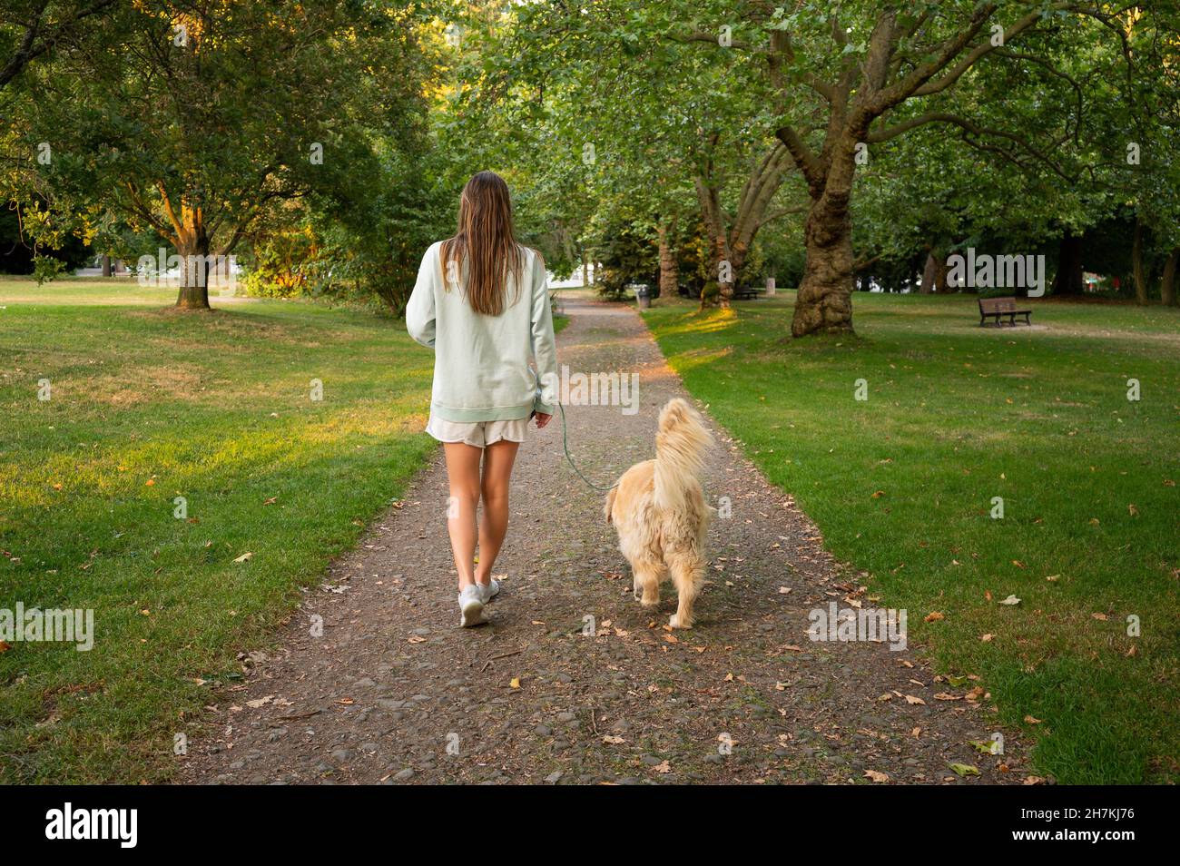 Mädchen mit ihrem Hund auf einen Spaziergang durch den Park Stockfoto