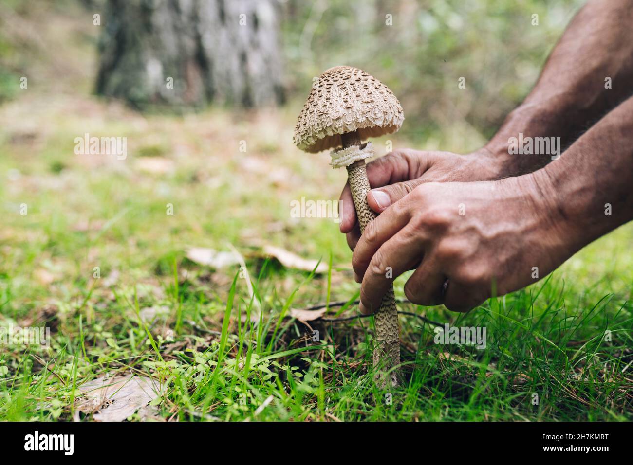 Mittelerwachsener Mann mit Flasche, der auf Felsen im Wald nachdenkt Stockfoto