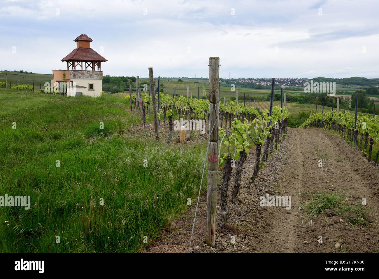 Weinbaulandschaft mit Aussichtsturm in der Weinbauregion Rheinland-Pfalz, Deutschland. Stockfoto