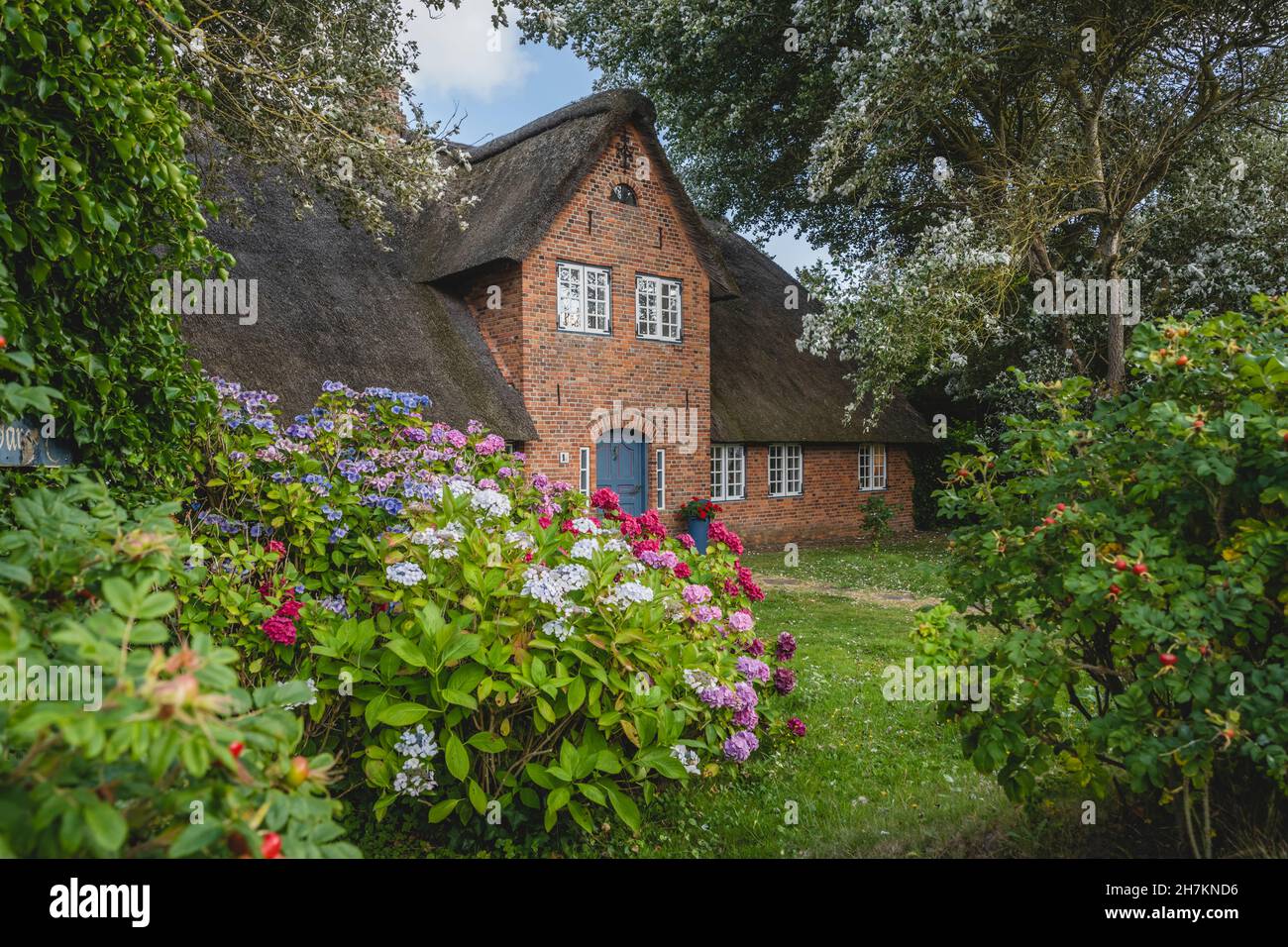 Deutschland, Schleswig-Holstein, Sylt, Blumen blühen vor rustikalem Backsteinhaus Stockfoto