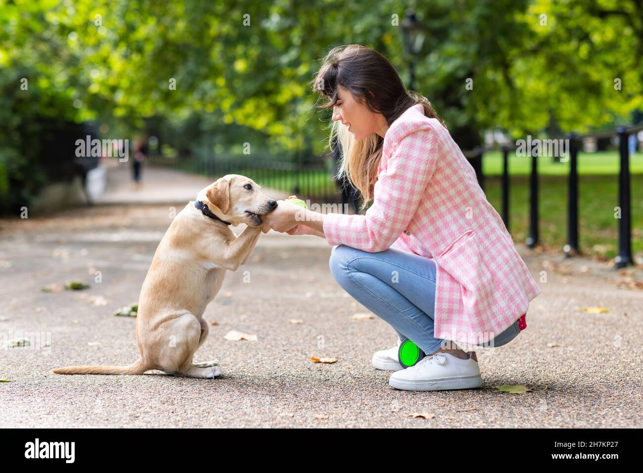 Verspielter Hund beißt Frau die Hand im Park Stockfoto