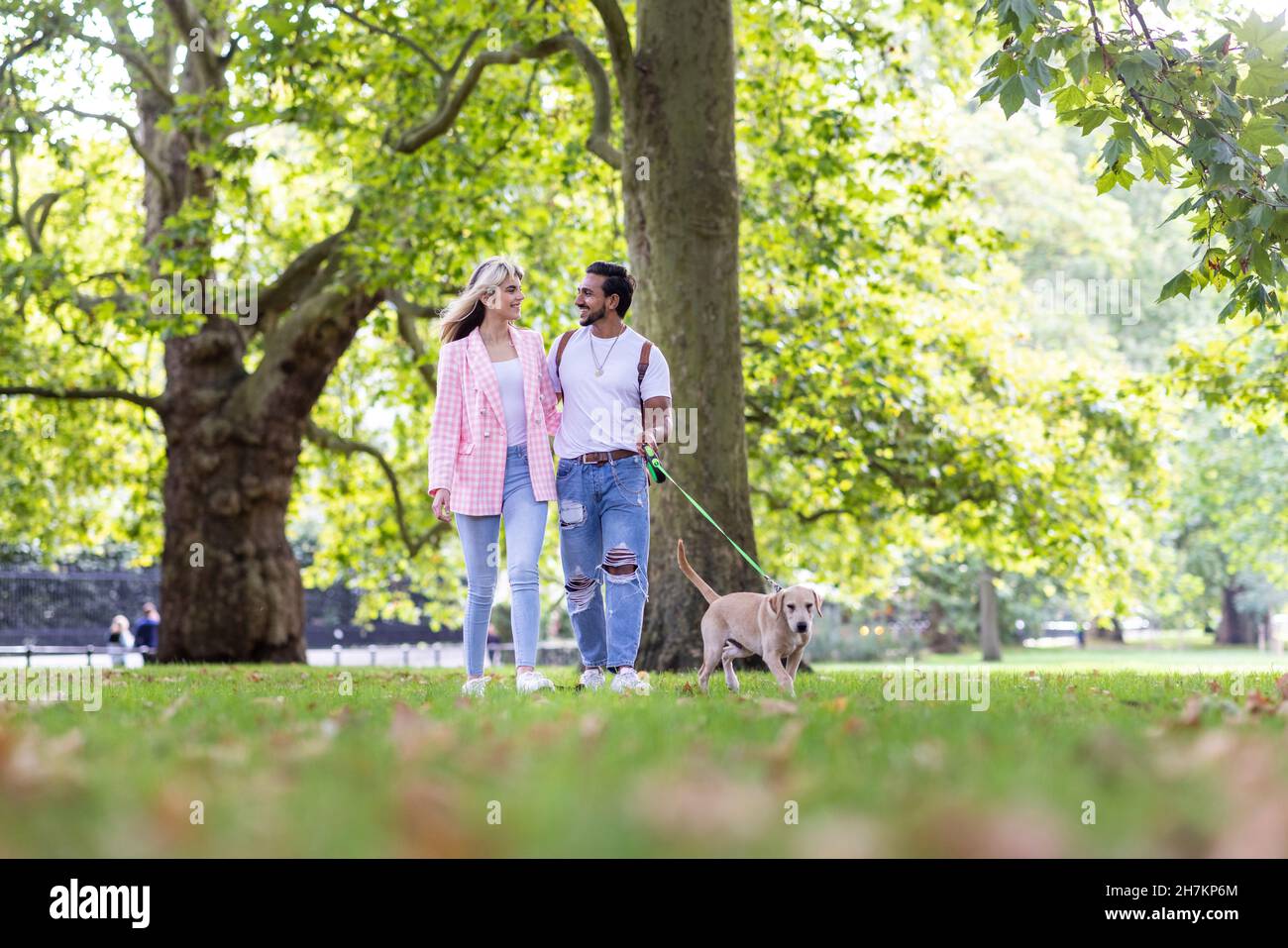 Lächelndes junges Paar, das sich beim Spaziergang mit Hund im Park ansieht Stockfoto