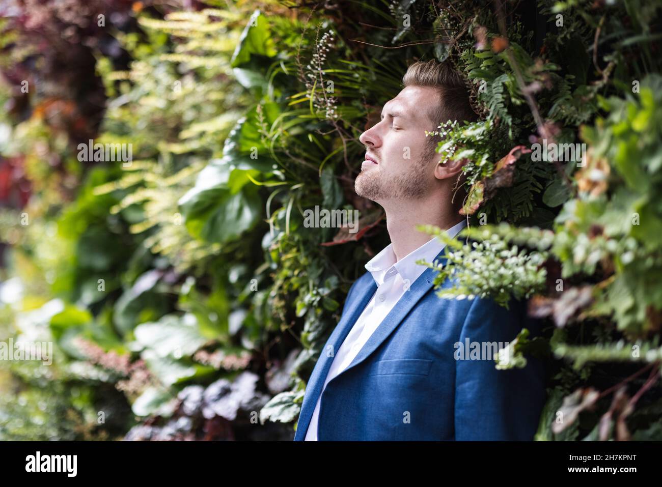 Männlicher Profi mit geschlossenen Augen, der sich auf grüne Pflanzen stützt Stockfoto