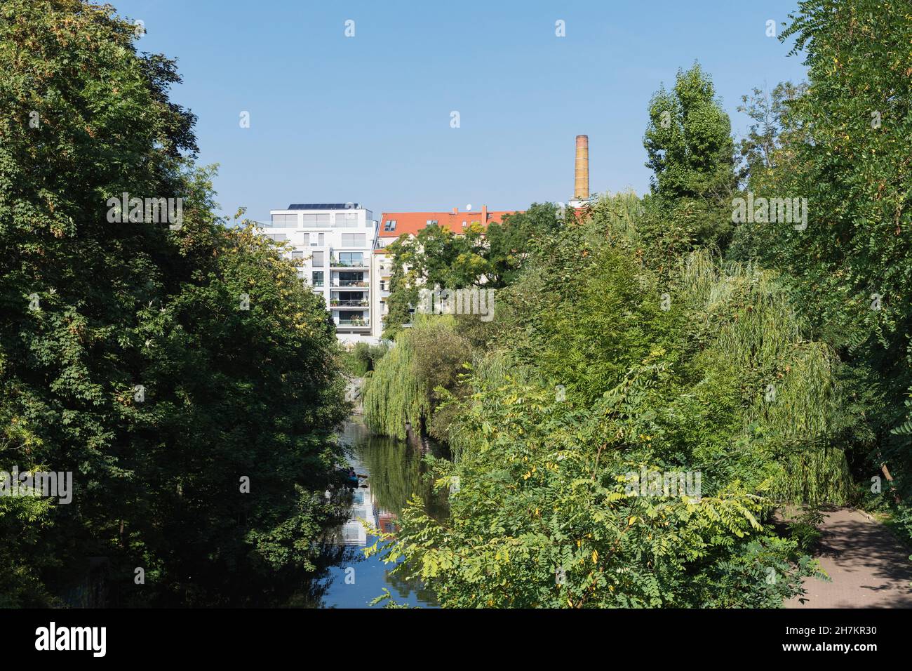 Deutschland, Sachsen, Leipzig, großer Weidenbaum, der im Sommer über dem Karl-Heine-Kanal wächst Stockfoto