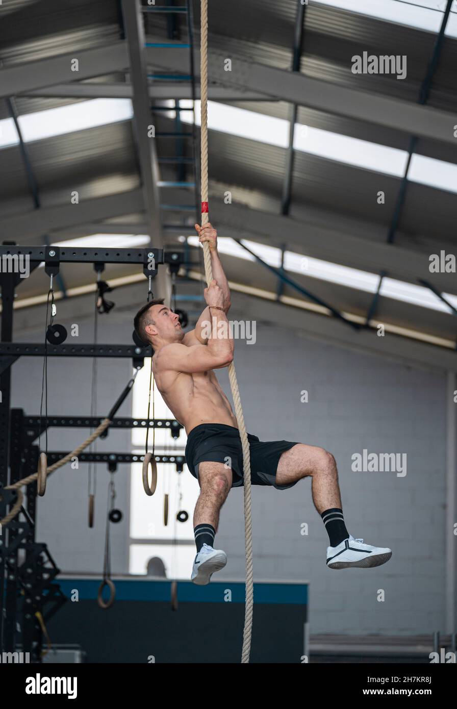 Konzentrierter männlicher Athlet klettert im Fitnessstudio Seil Stockfoto
