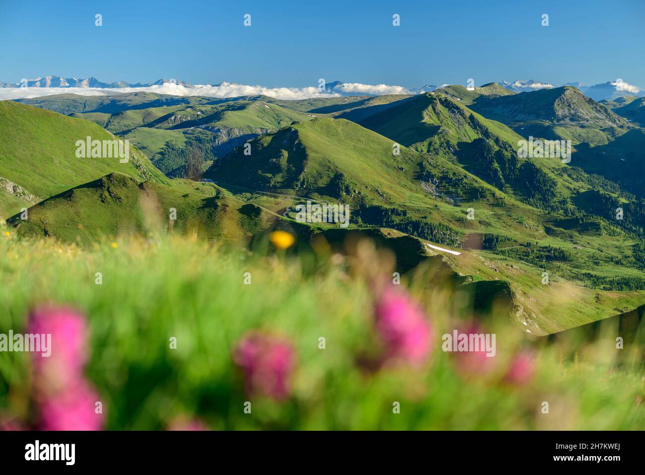 Grüne Berge im Biosphärenpark Nockberge, Kärnten, Österreich Stockfoto