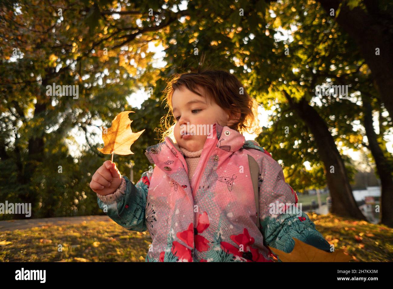 Nettes Baby Mädchen, das auf Blatt schaut Stockfoto