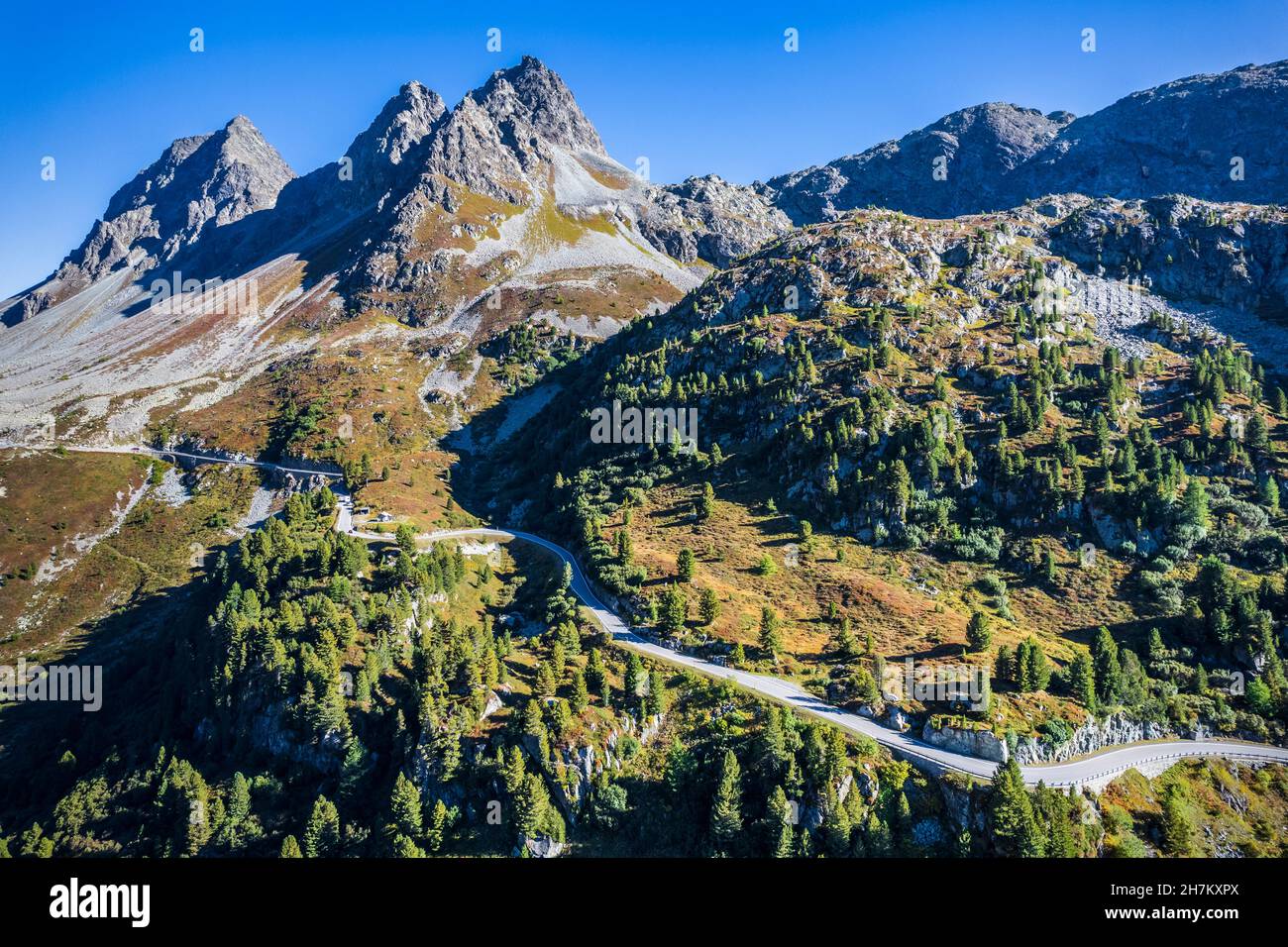 Bäume am Berg am Albula Pass, Graubünden, Schweiz Stockfoto