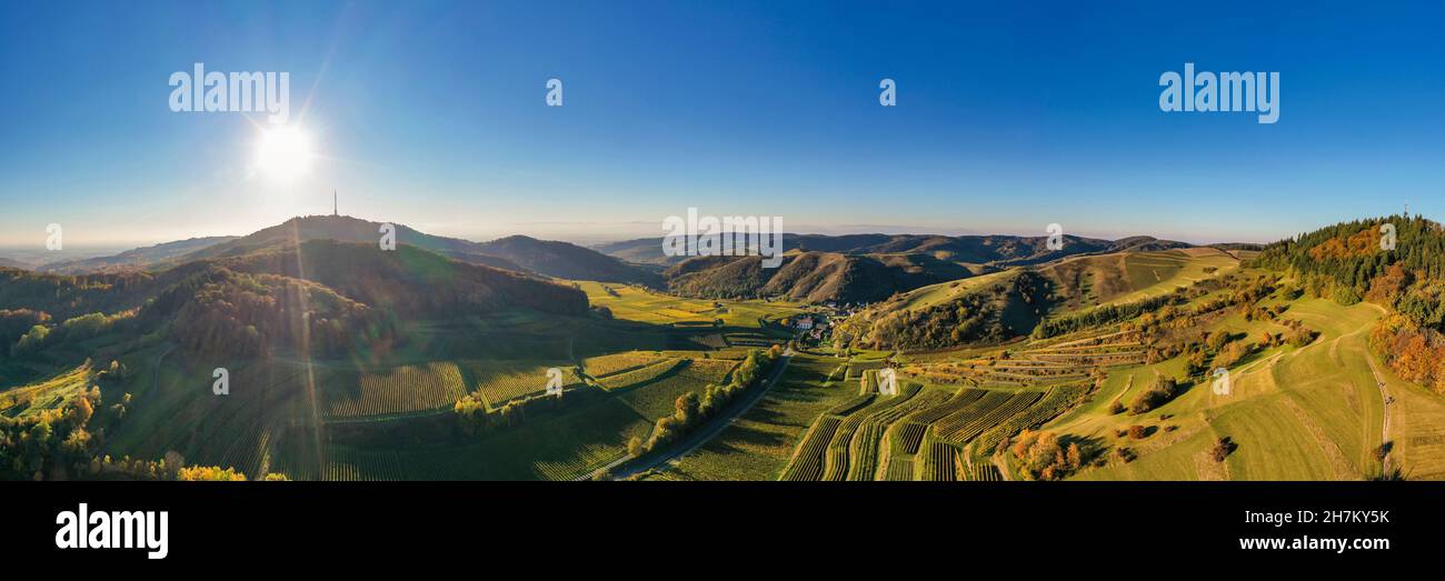 Deutschland, Baden-Württemberg, Vogtsburg im Kaiserstuhl, Luftpanorama der Weinberge und Vulkanhügel des Kaiserstuhl im Herbst Stockfoto