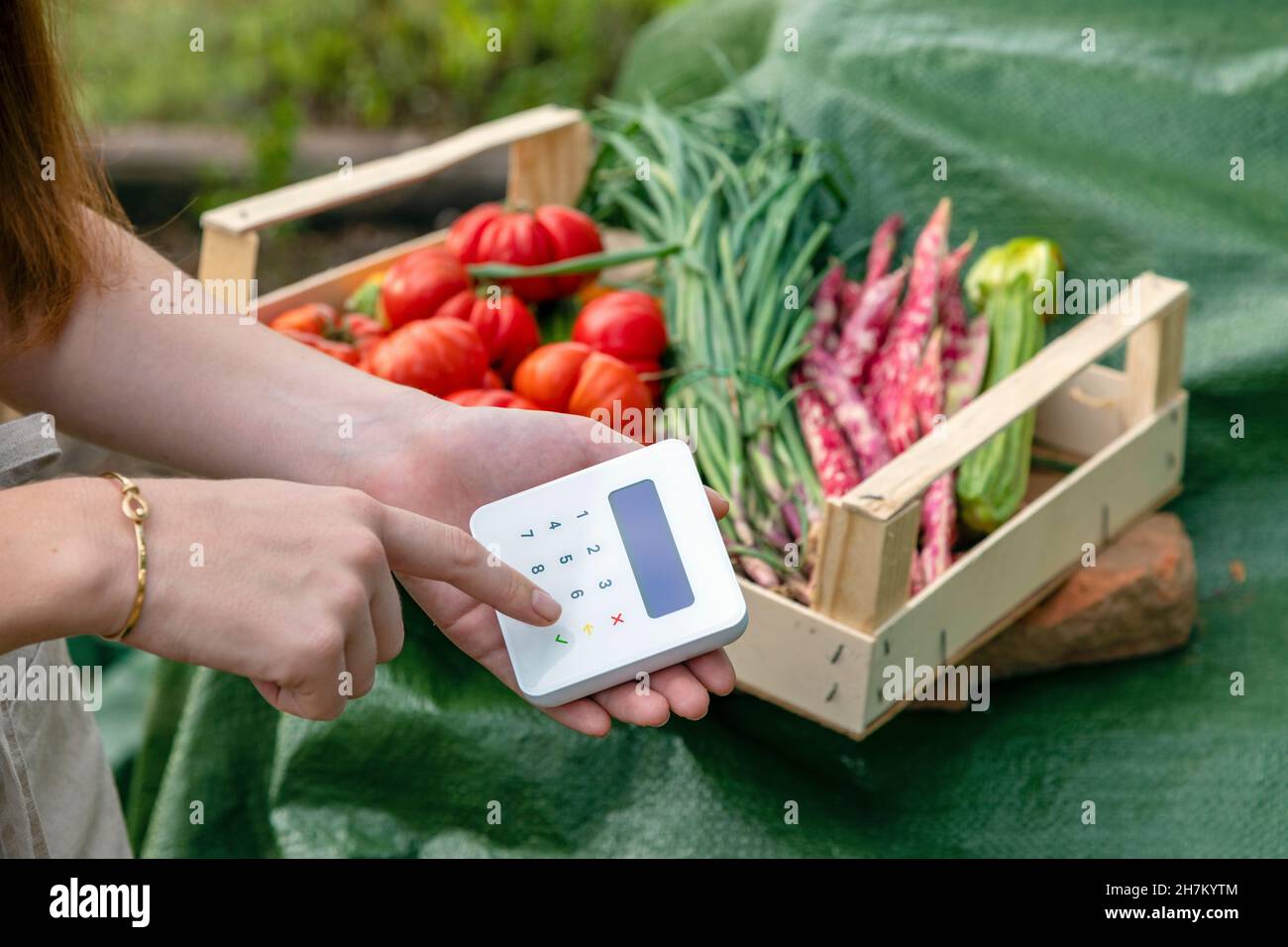 Bäuerin mit Kreditkartenleser im Garten Stockfoto