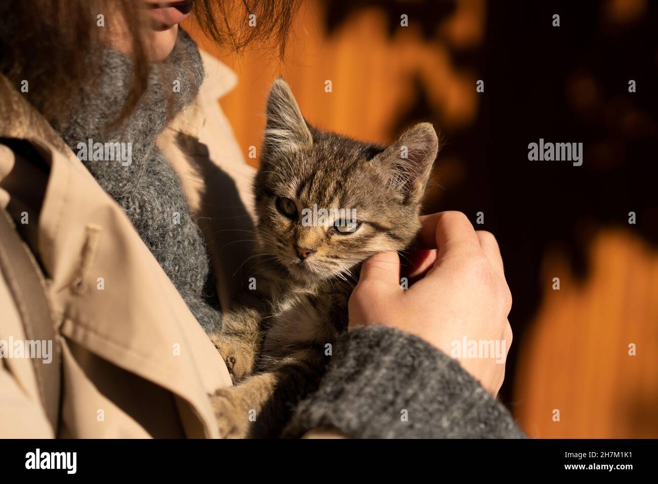 Junge Frau im Mantel streichelte Katze an sonnigen Tag Stockfoto