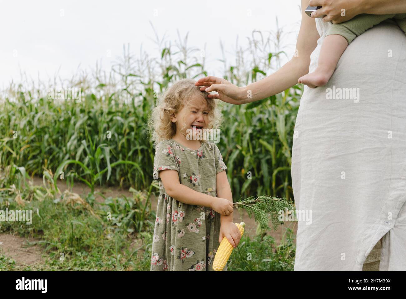 Verärgert Mädchen weinend von Mutter im Maisfeld Stockfoto