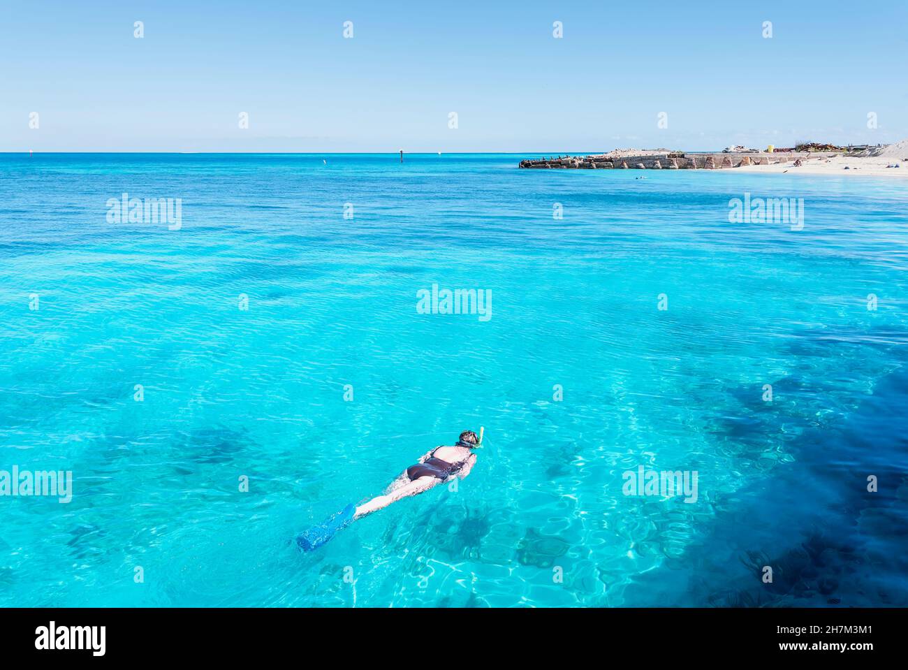 Person schnorcheln, Dry Tortugas National Park, Florida, USA Stockfoto